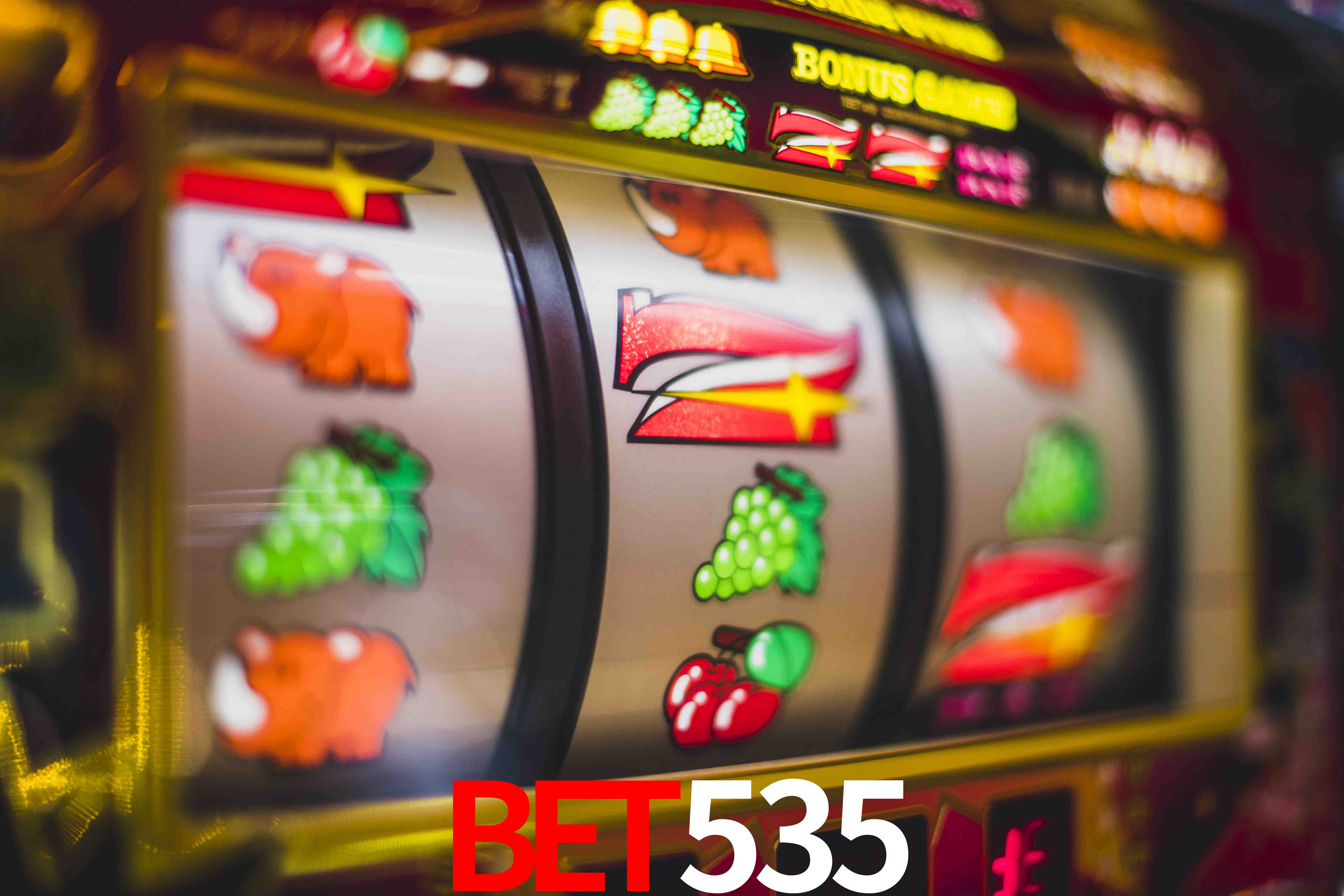 Sports Statistics bet535